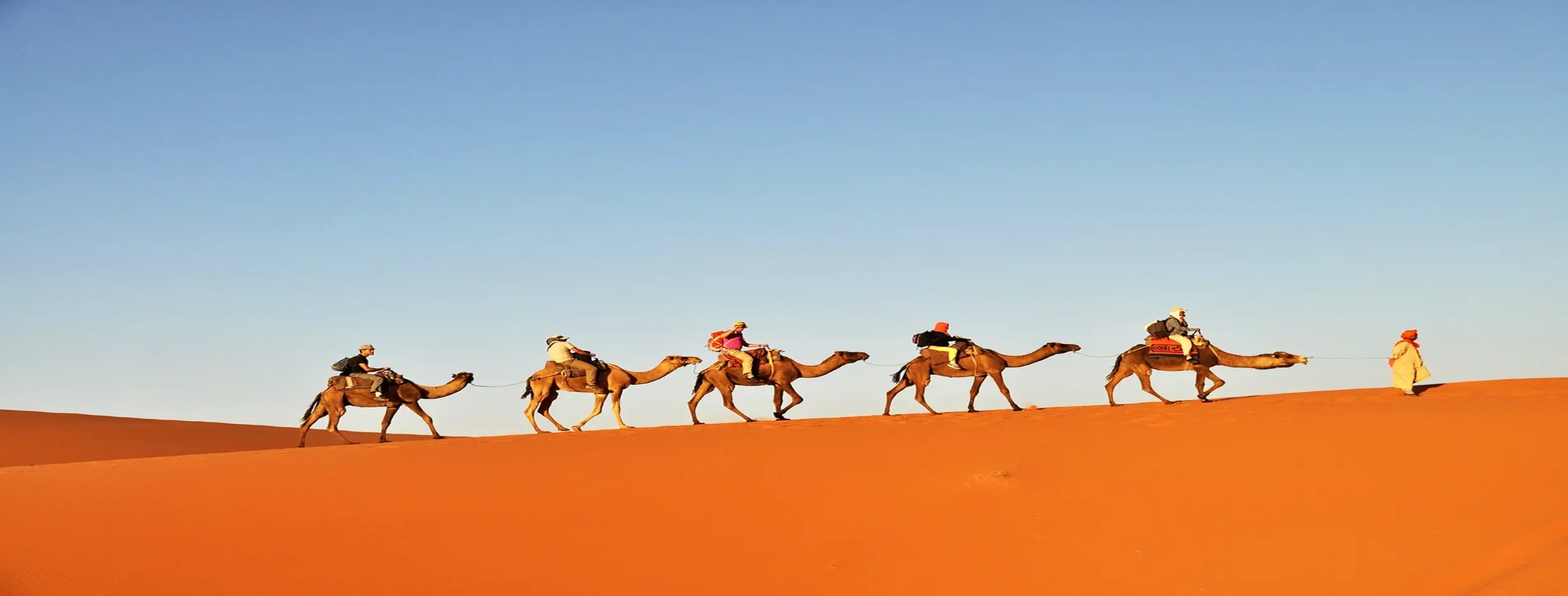 Image for Camel Trek